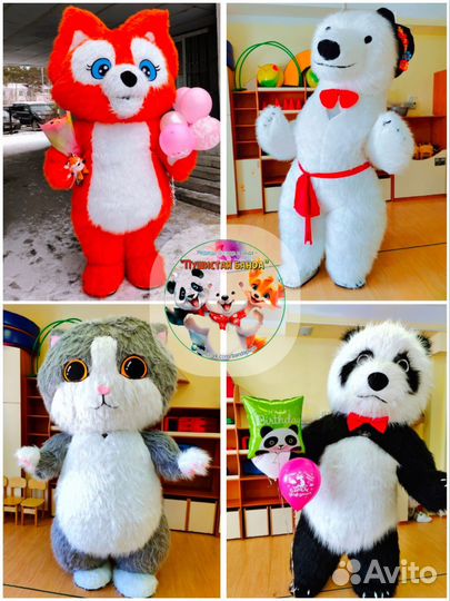 Поздравление Медведь, Лиса, Панда и Кот