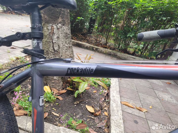 Велосипед Mongoose Rockadile взрослый