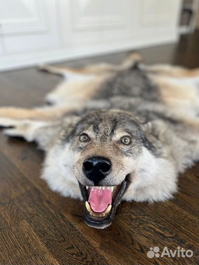 Чучело волка