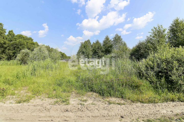 Участок 9 сот. (СНТ, ДНП)