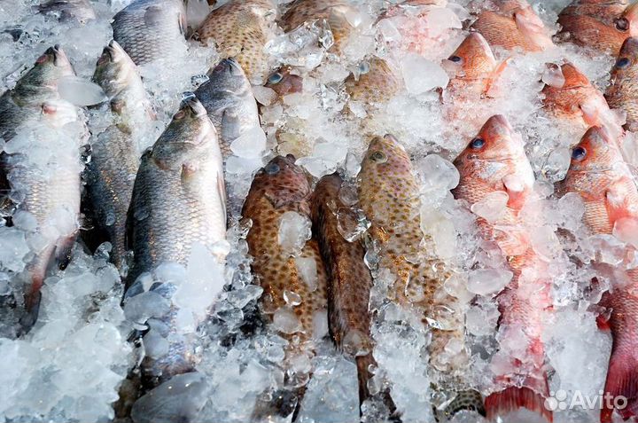 Рыбный магазин – готовый бизнес с доходом