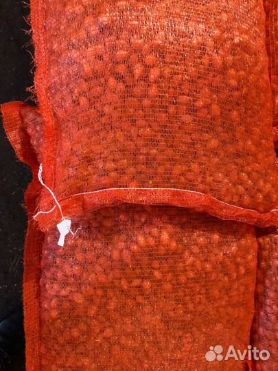 Лук севок оптом