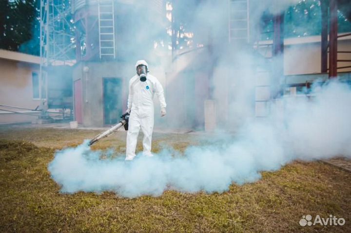 Уничтожение клопов тараканов блох муравьев клещей