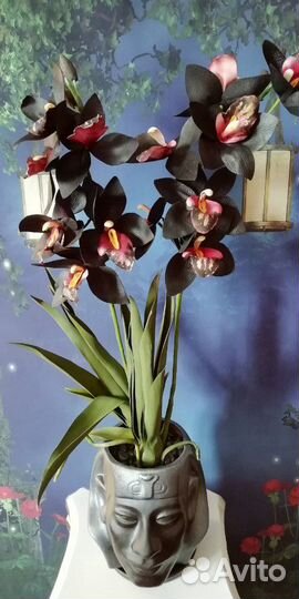 Орхидеи из фоамирана, ручной работы(не живые)