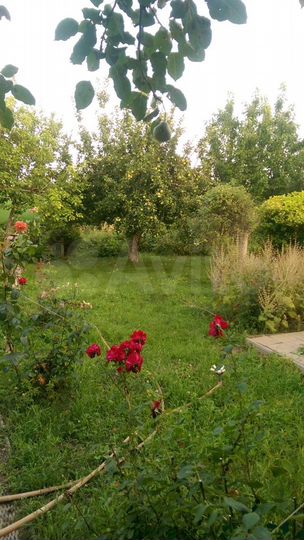 Дача 90 м² на участке 12 сот.