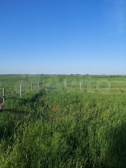 Участок 16 га (СНТ, ДНП)