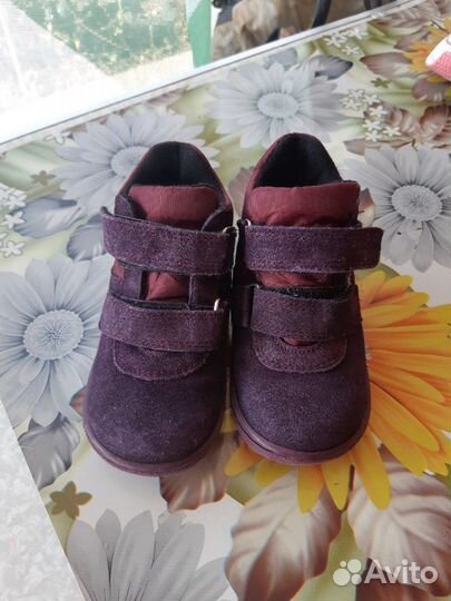 Ботинки Dandino