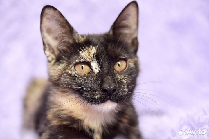 Виталина ищет маму и папу