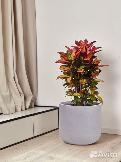 Капшо для цветов круглое