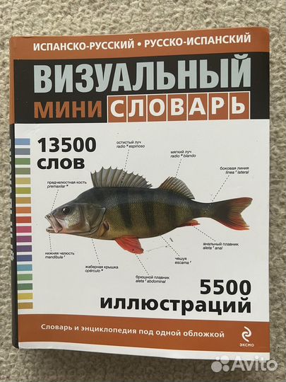 Визуальный словарь испанский