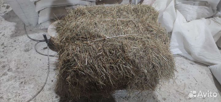 Сено в тюках