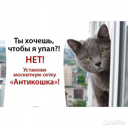 Москитная сетка Антикошка