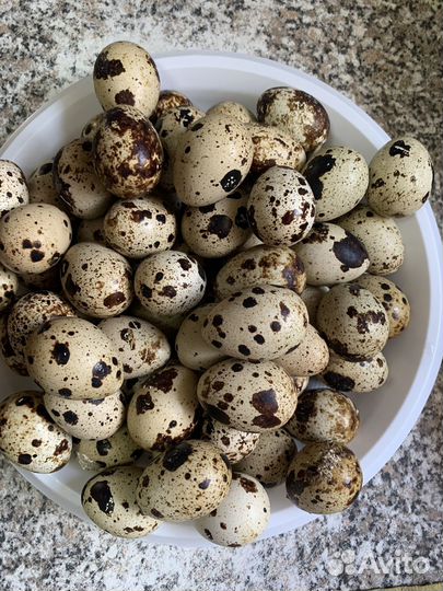 Яйца перепелиные