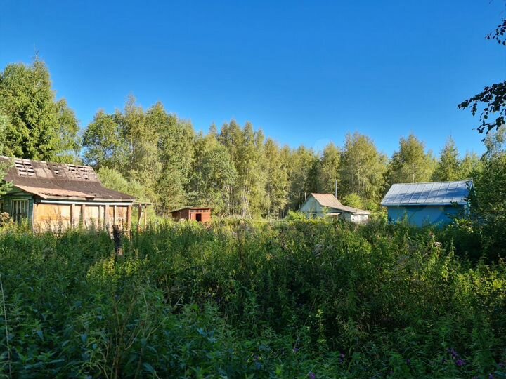 Участок 5 сот. (СНТ, ДНП)