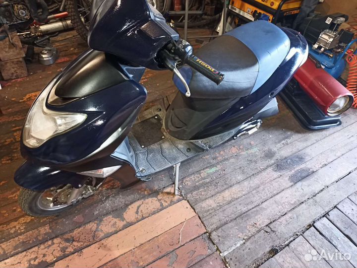 Ирбис каори