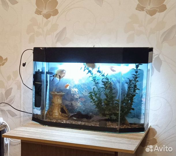 Аквариум 45 литров