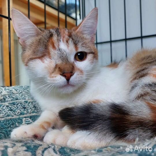 Без глазика никому не нужна