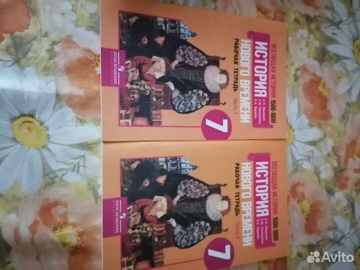 Учебники, рабочие тетради и тренажёры разные