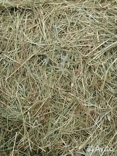 Сено в мешках,опилки,навоз,перегной