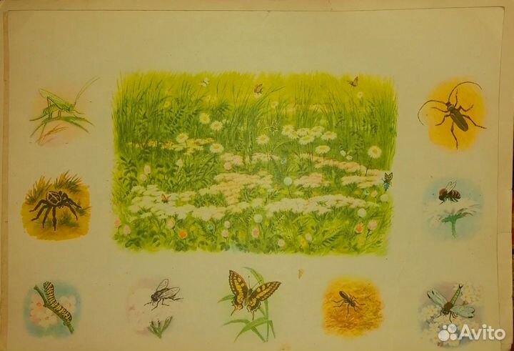 Обучающие карточки