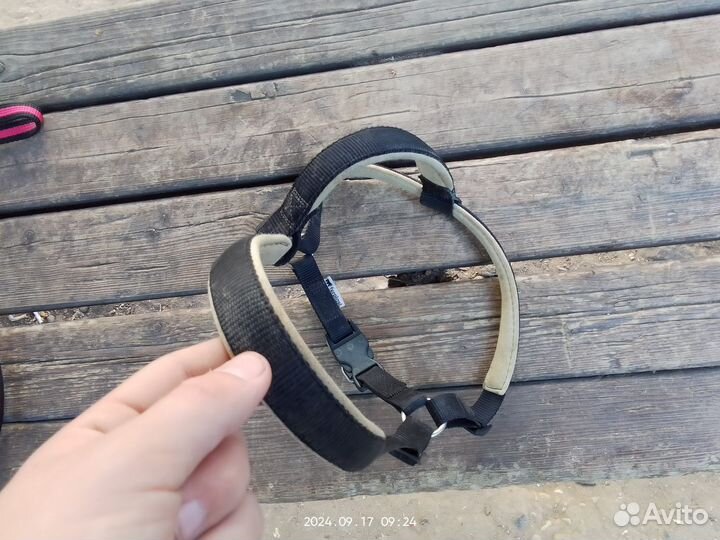 Шлейка для собаки