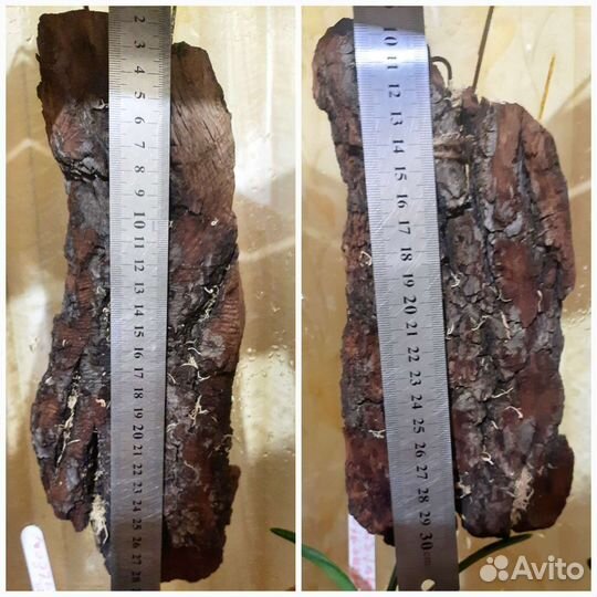 Блок для орхидей.Кора дуба и сосны