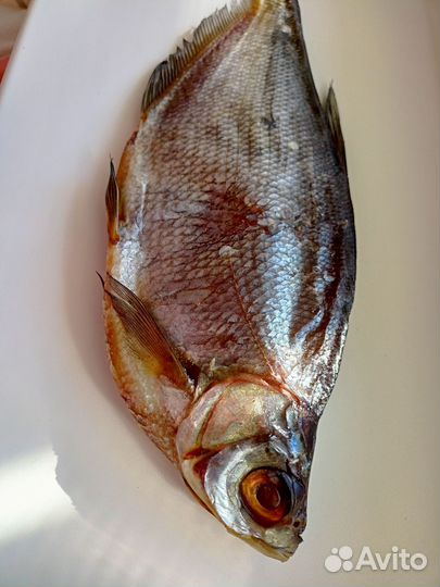 Вяленая рыба синец