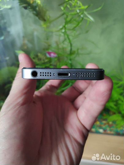 Телефон iPhone 5s