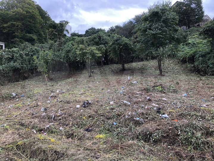 Участок 7,2 сот. (СНТ, ДНП)