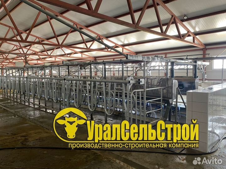 Доильный зал SCR Параллель и Ёлочка