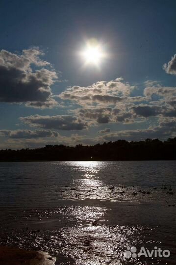 Фотограф Домодедово