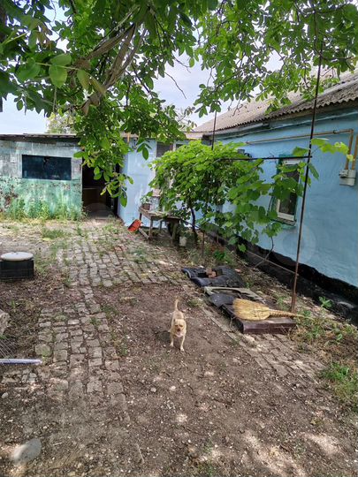 Дом 40 м² на участке 10 сот.