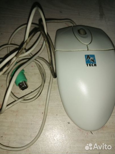 Мышь компьютерная