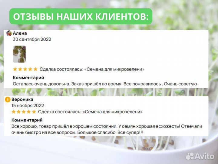 Семена весовые микрозелень