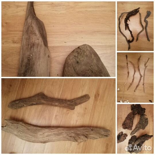 Дерево, топляк