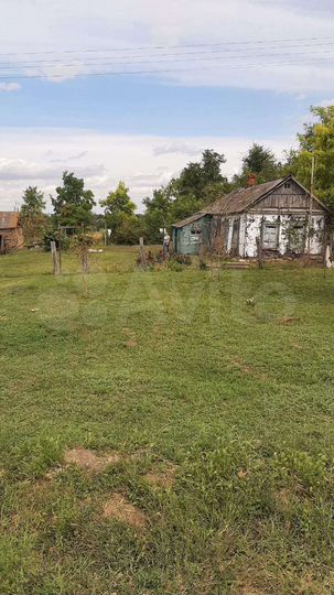 Участок 50 сот. (ИЖС)