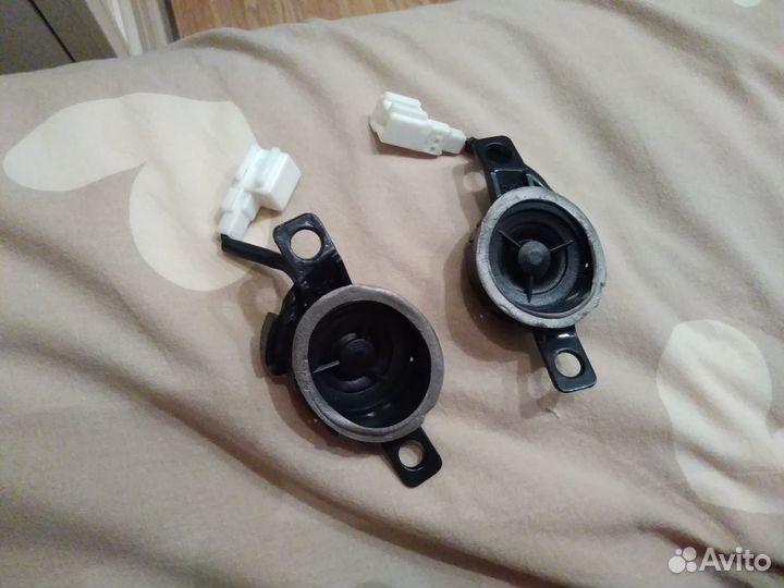 Твитера (пищалки)