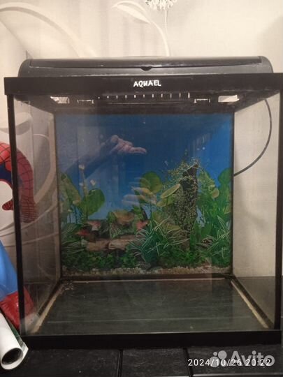 Аквариум