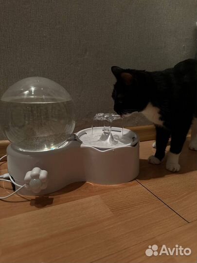Фонтан поилка для кошек