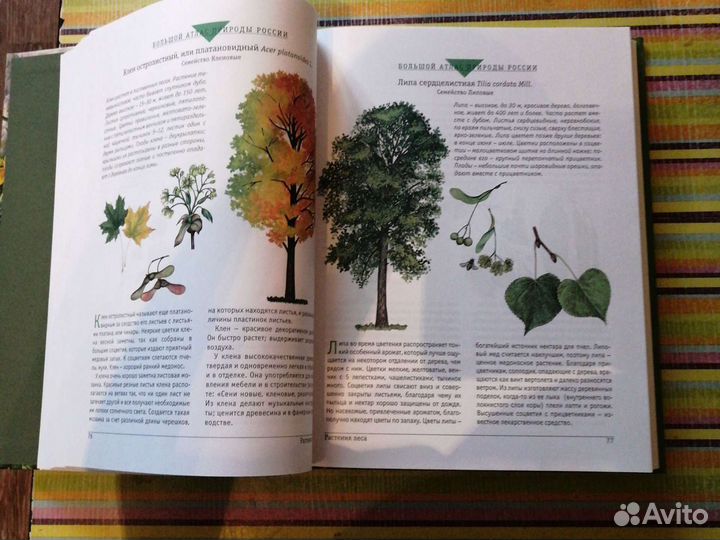 Большой атлас природы России