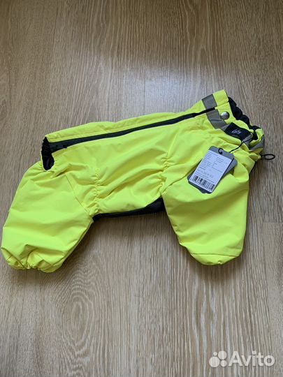 Дождевик для маленькой собаки девочки