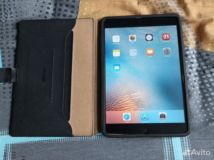 iPad mini 1
