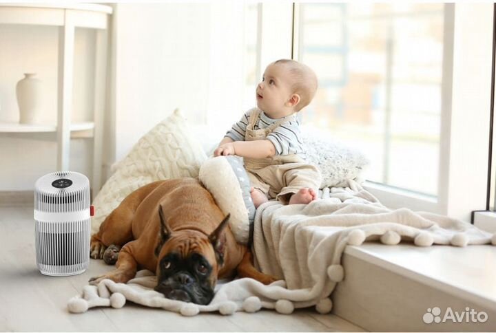 Очиститель воздуха P230 P340 P500 P710