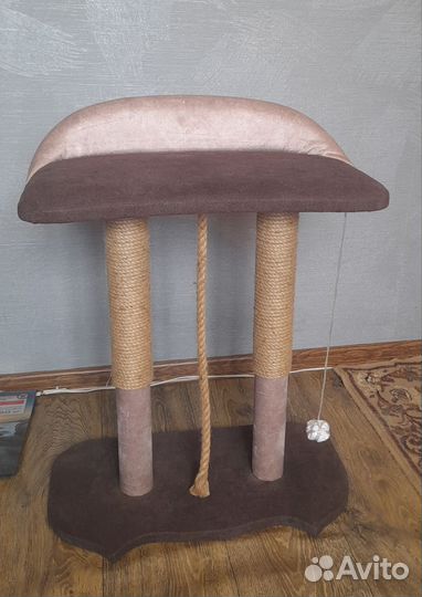 Когтеточка