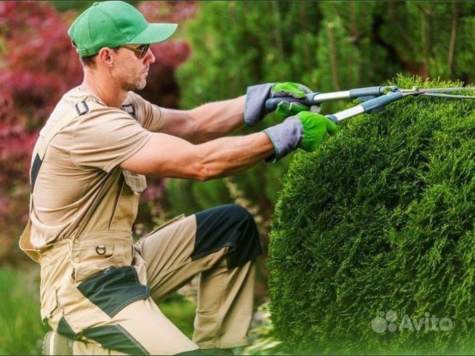 Jardin entretenu avec allée et gazon