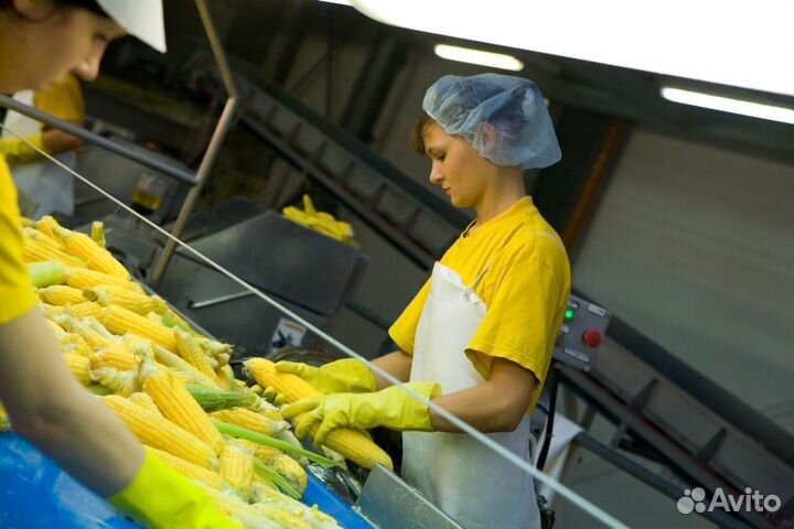 Вахта на производство