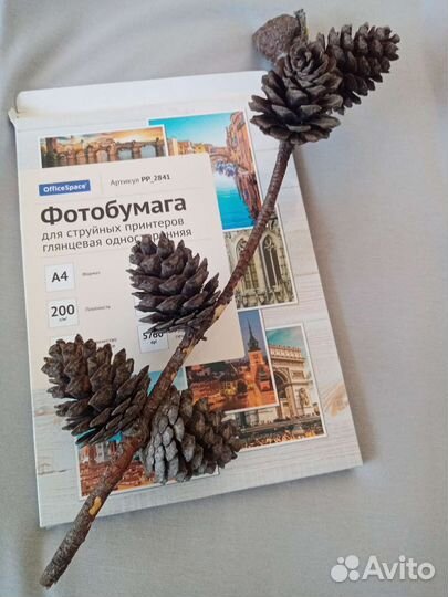 Шишки сосновые на ветках для декора