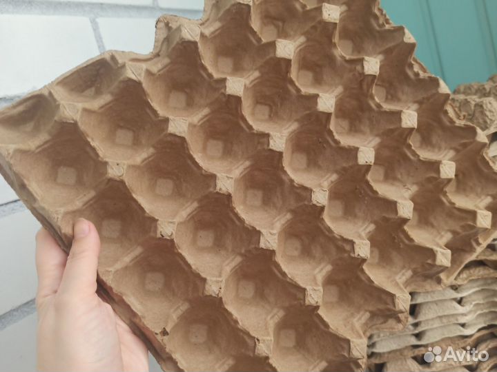 Лотки для яиц