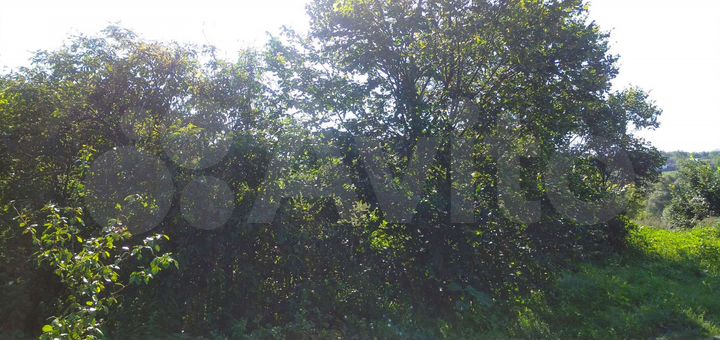 Участок 60 сот. (ИЖС)