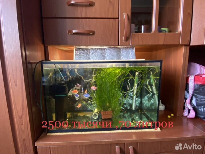 Украшение для аквариума